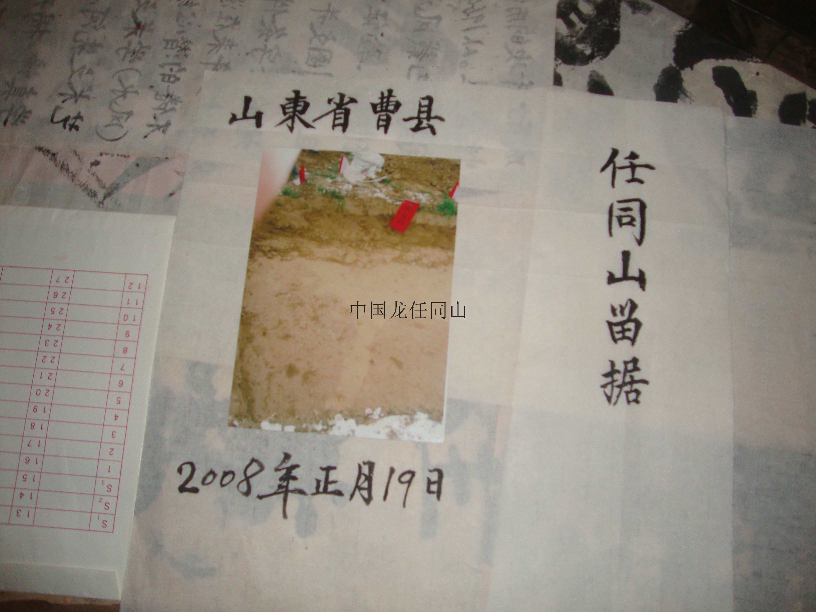 山东曹县 任同山